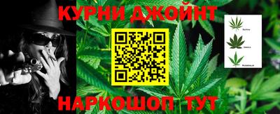 сатива Беслан