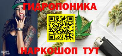 сатива Беслан