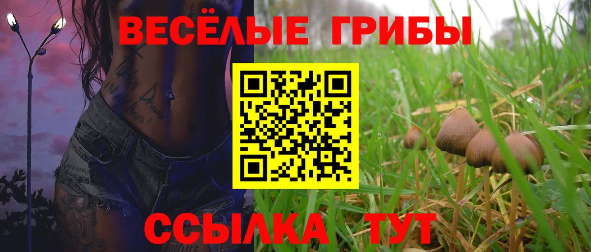 Жуковский  закладка  Вход с VPN  Псилоцибиновые грибы Cubensis 